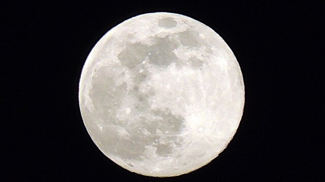 Mond