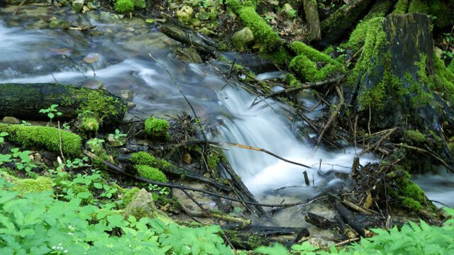Glasenbach