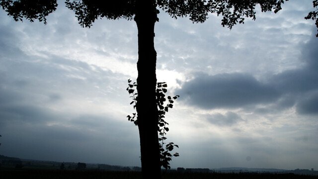 Tolle Lichtstimmung