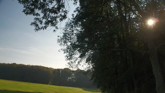 Gegenlicht