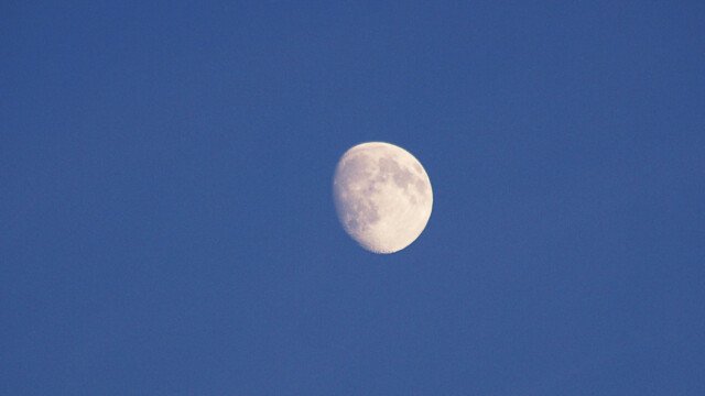 Mond