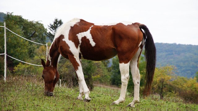 Lass es dir schmecken