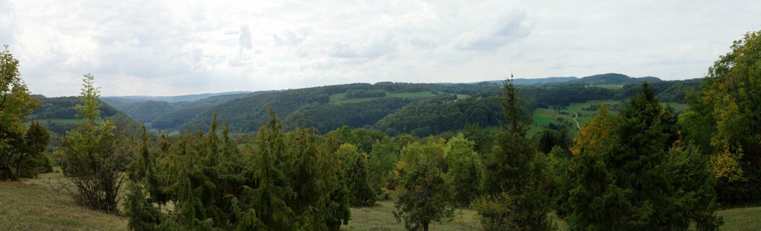 Blick vom Galgenberg
