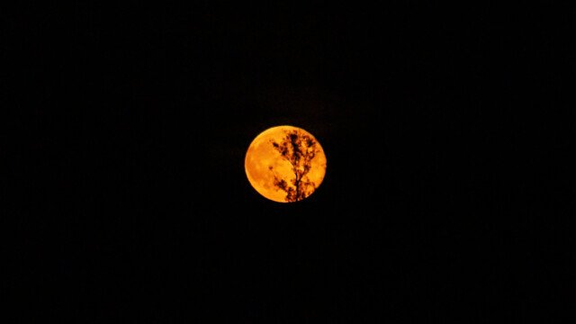 Mond
