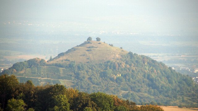 Limburg