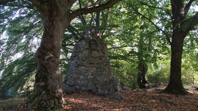 Salzmannstein