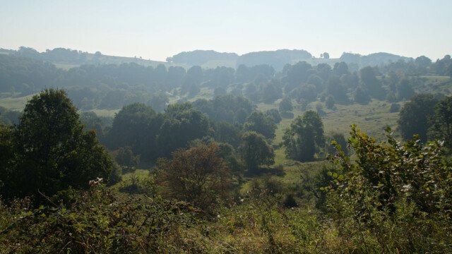 Randecker Maar