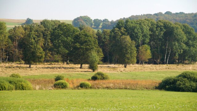 Schopflocher Moor