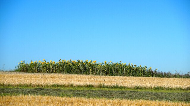 Landschaft