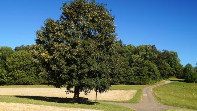 Lädt ein zum Rasten