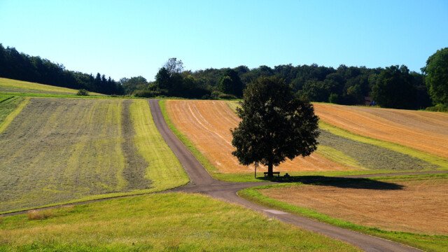 Beruhigende Landschaft