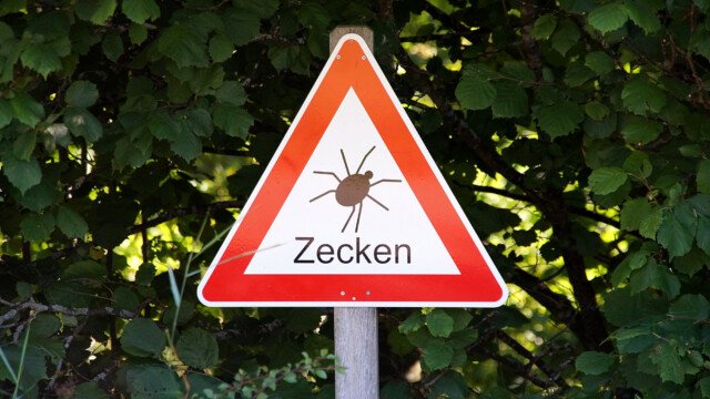 Achtung Zecken