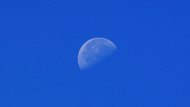 Mond
